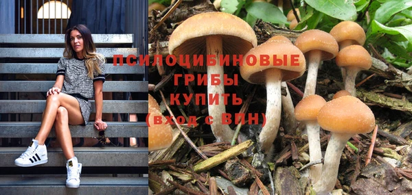 синтетический гашиш Карпинск