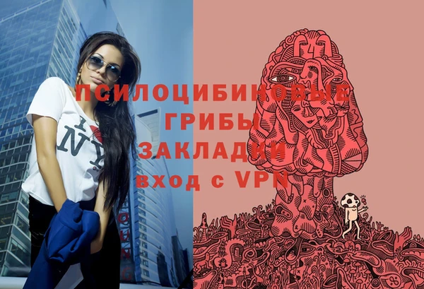 spice Карталы